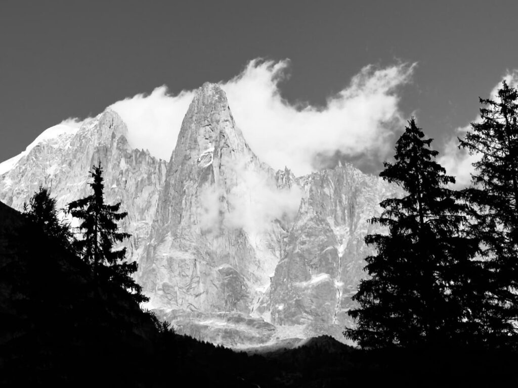 Schwarz-Weiß-Foto von zerklüfteten Berggipfeln, die teilweise von Wolken verdeckt sind und im Vordergrund von hohen, dunklen, immergrünen Bäumen eingerahmt werden – eine Szene, die an Landschaften erinnert, die Manuel Gratz, Bergführer, durchquert hat.