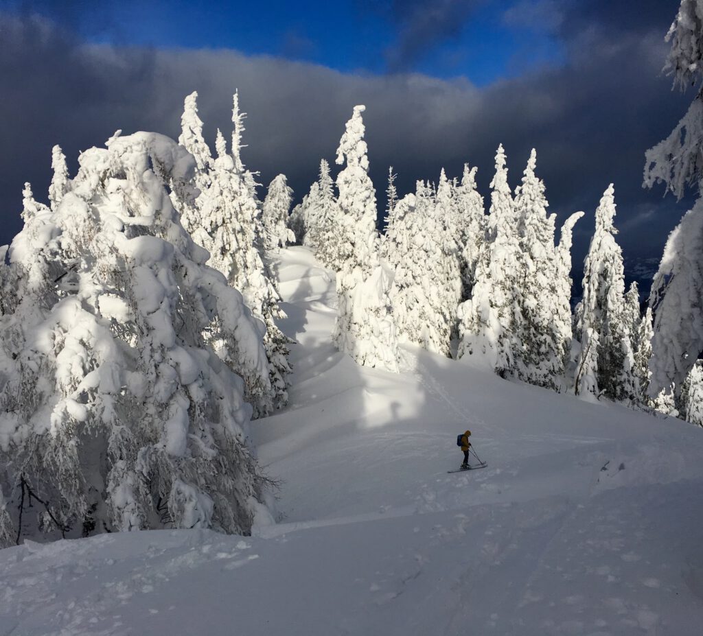 Ein Skifahrer gleitet durch den Tiefschnee auf einem Hang, der von schneebedeckten Bäumen umgeben ist, unter einem dramatischen, bewölkten Himmel – und lässt in dieser atemberaubenden Alpenlandschaft den Geist geführter Bergtouren aufleben.