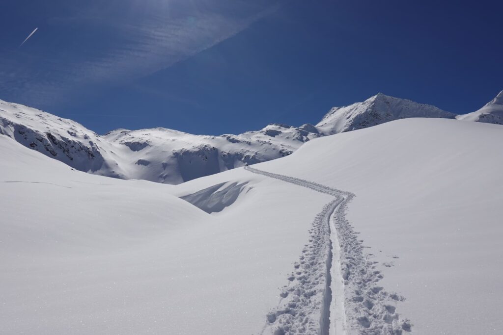 Ein einzelner Pfad schlängelt sich durch eine verschneite Landschaft und führt unter strahlend blauem Himmel zu den fernen, schneebedeckten Bergen – eine einladende Kulisse, die sich perfekt für geführte Skitouren eignet.