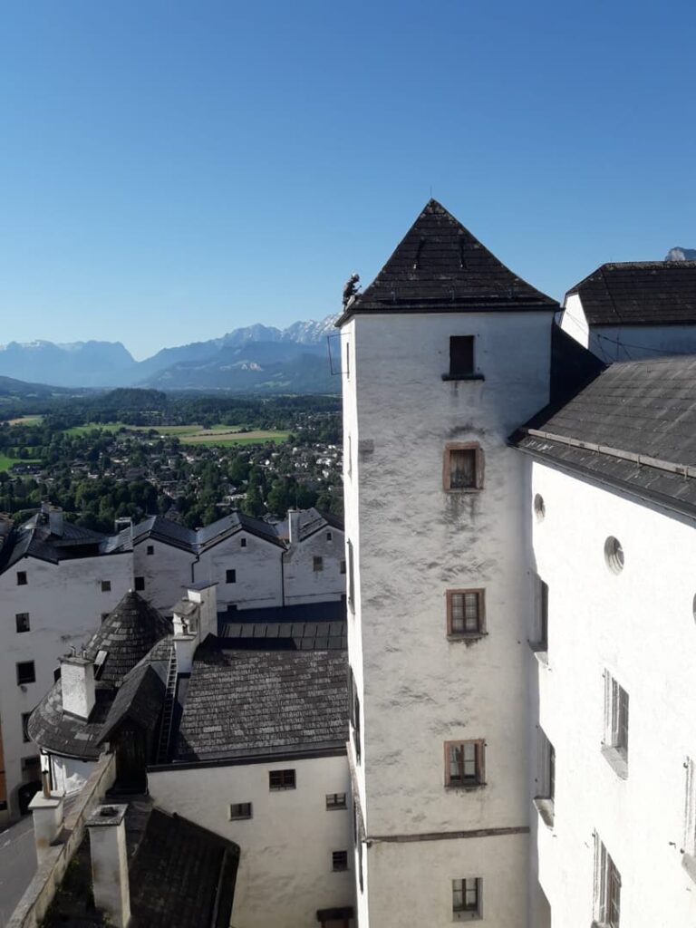 Ein hoher weißer Schlossturm mit kleinen Fenstern überragt ein grünes Tal, Bäume und ferne Berge unter einem strahlend blauen Himmel und spiegelt damit den anspruchsvollen Charakter der Seilarbeiten im alpinen Gelände wider.