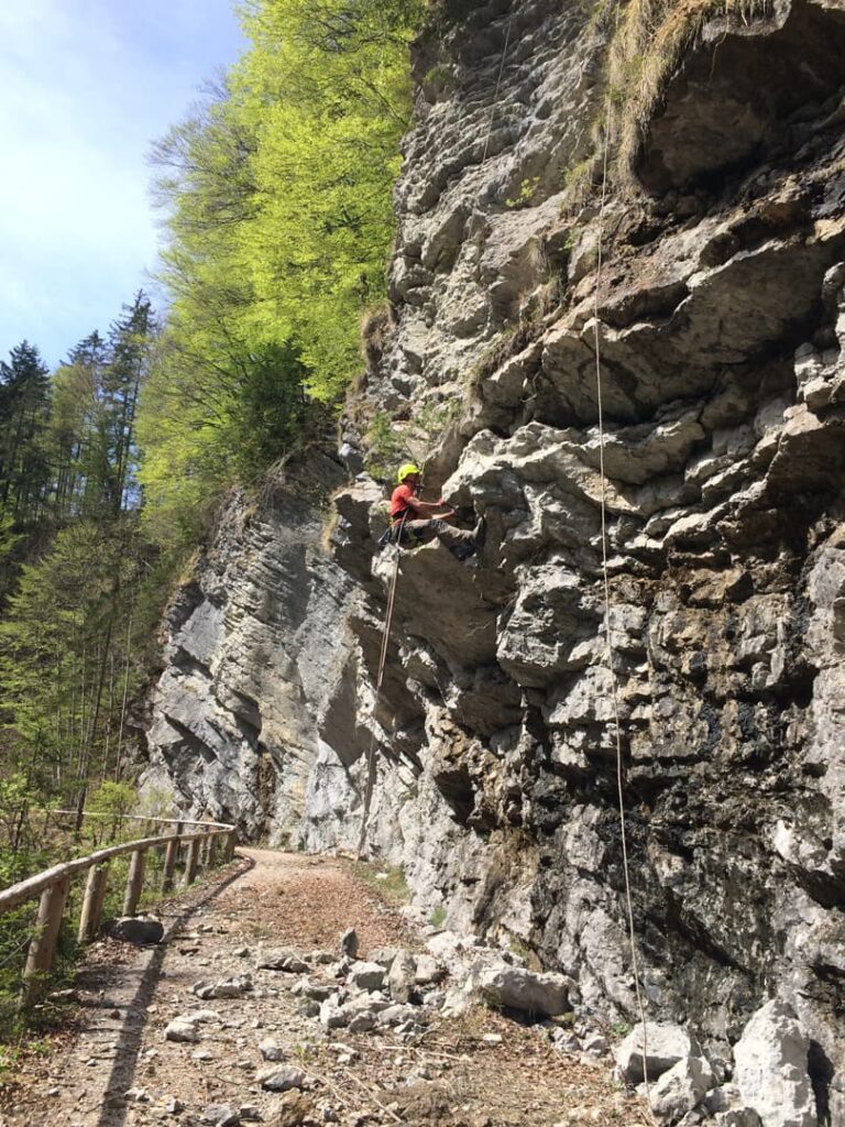 Eine Person mit Helm und Kletterausrüstung erklimmt eine felsige Klippe neben einem Waldweg und führt dabei Seilarbeiten im alpinen Gelände durch, wobei sie mit Sicherheitsseilen gesichert ist, die über ihr befestigt sind, umgeben von Bäumen und Sonnenlicht.