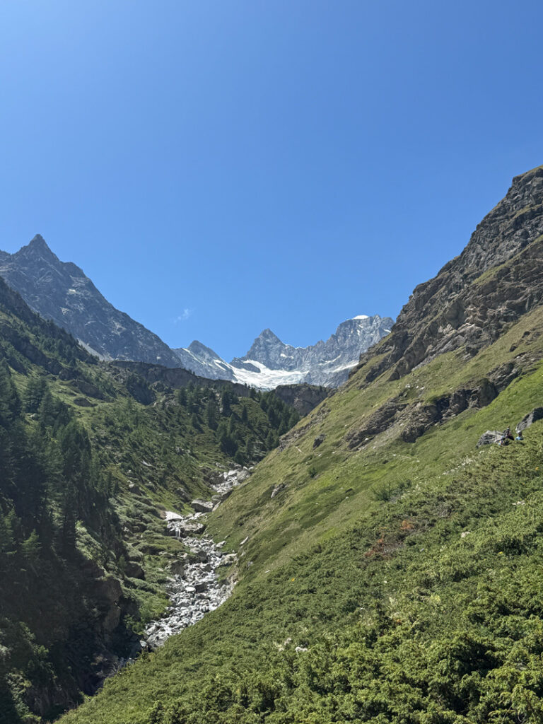Ein strahlend blauer Himmel über den schroffen Gipfeln des Obergabelhorns und des Zinalrothorns, hier und da noch Schneeflecken, ein kleiner Bach, der durch ein grünes Tal fließt, und felsige Hänge, die mit Bäumen und Sträuchern übersät sind – all dies schafft eine atemberaubende Landschaft, die oft im Rahmen von geführten Bergtouren erkundet wird.