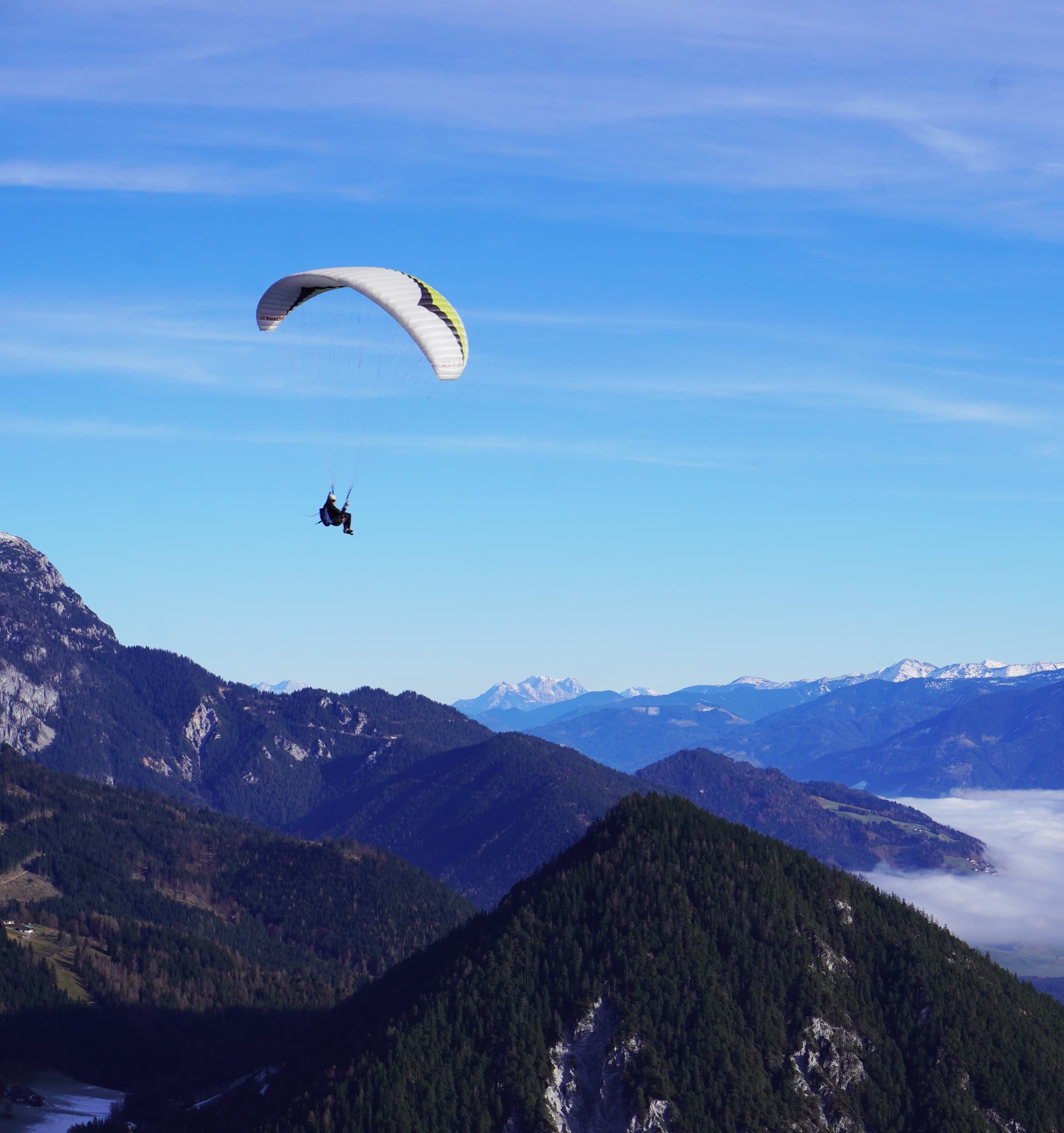 Eine Person gleitet mit dem Gleitschirm hoch über grünen, bewaldeten Bergen unter strahlend blauem Himmel dahin, während im Hintergrund in der Ferne schneebedeckte Gipfel und leichte Wolken zu sehen sind, und genießt atemberaubende Ausblicke, die oft auf geführten Bergtouren erkundet werden.