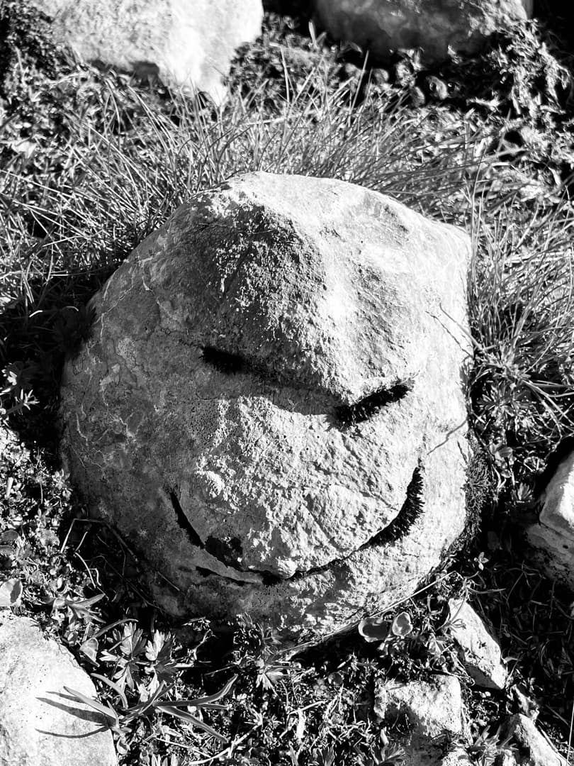 Ein Stein mit Moos und Schatten, der einem lächelnden Gesicht ähnelt, liegt im Gras, umgeben von kleineren Steinen.