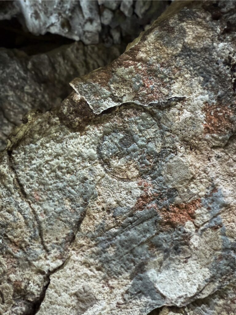 Eine raue, strukturierte Felsoberfläche mit einem schwachen kreisförmigen Fossilienabdruck in der Mitte, der subtile Grau- und Brauntöne sowie einen Hauch von Rottönen aufweist – genau die Art von uraltem Detail, auf das ein ARE YOU SUMMIT-Bergführer während einer Bergwanderung hinweisen würde.