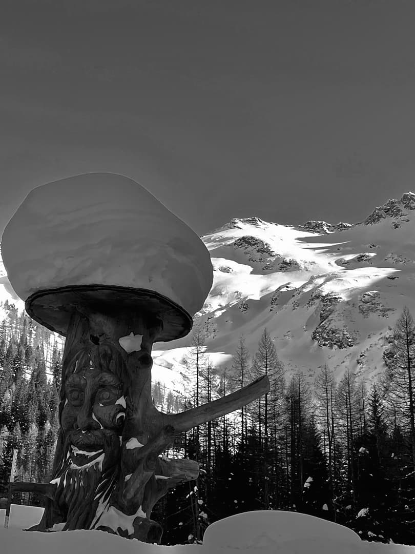 Eine große Holzskulptur mit einem Gesicht, die einem Pilz ähnelt, ist mit Schnee bedeckt. Im Hintergrund ragen unter einem klaren Himmel schneebedeckte Berge und Kiefern empor.